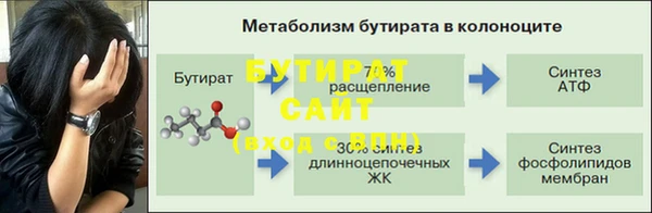 амф Бородино